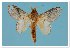  ( - GD-GF 0083)  @11 [ ] Copyright (2019) Guy Durand Unspecified