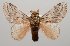  ( - GD-GF 0086)  @11 [ ] Copyright (2019) Guy Durand Unspecified