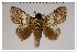  ( - GD-GF 0090)  @11 [ ] Copyright (2019) Guy Durand Unspecified