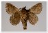 ( - GD-GF 0090)  @11 [ ] Copyright (2019) Guy Durand Unspecified