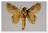  ( - GD-GF 0093)  @11 [ ] Copyright (2019) Guy Durand Unspecified
