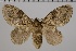  ( - GD-GF 0096)  @11 [ ] Copyright (2019) Guy Durand Unspecified