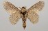  ( - GD-GF 0101)  @11 [ ] Copyright (2019) Guy Durand Unspecified
