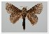 ( - GD-GF 0122)  @11 [ ] Copyright (2019) Guy Durand Unspecified