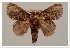  ( - GD-GF 0124)  @11 [ ] Copyright (2019) Guy Durand Unspecified