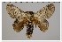  ( - GD-GF 0126)  @11 [ ] Copyright (2019) Guy Durand Unspecified