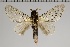  ( - GD-GF0177)  @11 [ ] Copyright (2020) Guy Durand Research Collection of Guy Durand