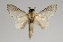  ( - GD-GF0177)  @11 [ ] Copyright (2020) Guy Durand Research Collection of Guy Durand
