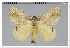  ( - GD-GF0187)  @11 [ ] Copyright (2020) Guy Durand Research Collection of Guy Durand