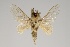  ( - GD-GF0208)  @11 [ ] Copyright (2020) Guy Durand Research Collection of Guy Durand