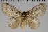  ( - GD-GF0221)  @11 [ ] Copyright (2020) Guy Durand Research Collection of Guy Durand