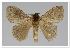  ( - GD-GF0227)  @11 [ ] Copyright (2020) Guy Durand Research Collection of Guy Durand