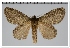  ( - GD-GF0236)  @11 [ ] Copyright (2020) Guy Durand Research Collection of Guy Durand