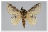  ( - GD-GF0243)  @11 [ ] Copyright (2020) Guy Durand Research Collection of Guy Durand