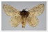 ( - GD-GF0253)  @11 [ ] Copyright (2020) Guy Durand Research Collection of Guy Durand
