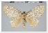  ( - GD-GF0294)  @11 [ ] Copyright (2020) Guy Durand Research Collection of Guy Durand