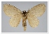  ( - GD-GF0294)  @11 [ ] Copyright (2020) Guy Durand Research Collection of Guy Durand