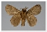  ( - GD-GF0318)  @11 [ ] Copyright (2020) Guy Durand Research Collection of Guy Durand
