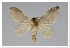  ( - GD-GF0327)  @11 [ ] Copyright (2020) Guy Durand Research Collection of Guy Durand