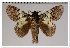  ( - GD-GF0360)  @11 [ ] Copyright (2020) Guy Durand Research Collection of Guy Durand