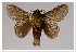  ( - GD-GF0360)  @11 [ ] Copyright (2020) Guy Durand Research Collection of Guy Durand