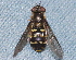  ( - BIOUG28571-A09)  @12 [ ] CreativeCommons - Attribution (2016) Libby Avis Centre for Biodiversity Genomics