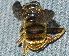  ( - BIOUG28571-C05)  @12 [ ] CreativeCommons - Attribution (2016) Libby Avis Centre for Biodiversity Genomics
