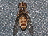  ( - BIOUG28571-D02)  @12 [ ] CreativeCommons - Attribution (2016) Libby Avis Centre for Biodiversity Genomics