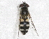  ( - BIOUG28571-D03)  @12 [ ] CreativeCommons - Attribution (2016) Libby Avis Centre for Biodiversity Genomics