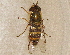  ( - BIOUG28571-H07)  @13 [ ] CreativeCommons - Attribution (2016) Libby Avis Centre for Biodiversity Genomics