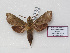  ( - BC-Basq 3175)  @14 [ ] Copyright (2011) Patrick Basquin Research Collection of Patrick Basquin