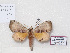  ( - BC-Basq 3184)  @12 [ ] Copyright (2011) Patrick Basquin Research Collection of Patrick Basquin