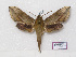 ( - BC-Basq 3191)  @13 [ ] Copyright (2011) Patrick Basquin Research Collection of Patrick Basquin