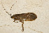  ( - TPA 006-12)  @13 [ ] CreativeCommons - Attribution (2012) Libby Avis Centre for Biodiversity Genomics