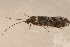  ( - TPA 058-12)  @13 [ ] CreativeCommons - Attribution (2012) Libby Avis Centre for Biodiversity Genomics