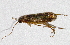  ( - TPA 096-12)  @12 [ ] CreativeCommons - Attribution (2012) CBG Photography Group Centre for Biodiversity Genomics