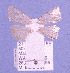  ( - MJM-95-0155)  @12 [ ] CreativeCommons - Attribution Non-Commercial No Derivatives (2009) Unspecified University of Maryland