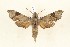  ( - CTBB-4061)  @11 [ ] Copyright © (2023) Thierry Bouyer Research Collection of Thierry Bouyer