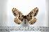  ( - BC-TB0542)  @13 [ ] Copyright (2010) Unspecified Research Collection of Thierry Bouyer