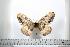  ( - BC-TB0543)  @13 [ ] Copyright (2010) Unspecified Research Collection of Thierry Bouyer