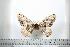  ( - BC-TB0544)  @13 [ ] Copyright (2010) Unspecified Research Collection of Thierry Bouyer