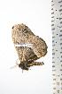  ( - BC-TB0796)  @12 [ ] Copyright (2010) Unspecified Research Collection of Thierry Bouyer