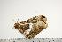  ( - BC-TB0954)  @13 [ ] Copyright (2010) Unspecified Research Collection of Thierry Bouyer