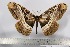  ( - BC-TB3154)  @12 [ ] Copyright (2010) Unspecified Research Collection of Thierry Bouyer