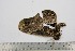  ( - BC-TB3166)  @12 [ ] Copyright (2010) Unspecified Research Collection of Thierry Bouyer
