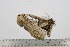  ( - BC-TB3168)  @12 [ ] Copyright (2010) Unspecified Research Collection of Thierry Bouyer