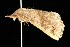  ( - HLC-20130)  @12 [ ] CreativeCommons - Attribution (2010) Unspecified Centre for Biodiversity Genomics