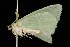  ( - HLC-20648)  @12 [ ] CreativeCommons - Attribution (2010) Unspecified Centre for Biodiversity Genomics