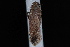  ( - 08-JDWBC-1213)  @12 [ ] CreativeCommons - Attribution (2010) Unspecified University of British Columbia