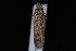  ( - 08-JDWBC-1214)  @12 [ ] CreativeCommons - Attribution (2010) Unspecified University of British Columbia